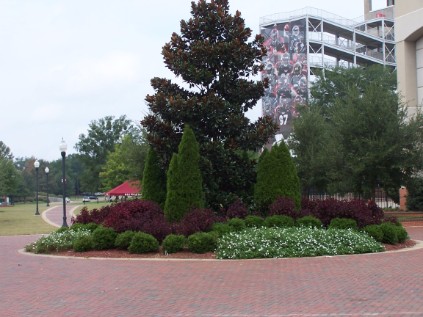 MSU Junction